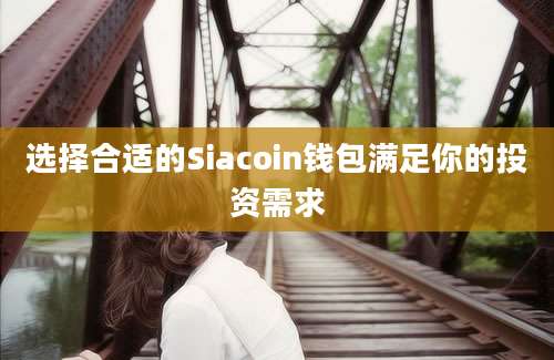 选择合适的Siacoin钱包满足你的投资需求