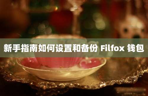 新手指南如何设置和备份 Filfox 钱包