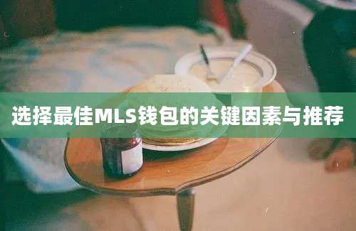 选择最佳MLS钱包的关键因素与推荐