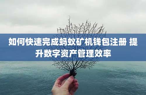 如何快速完成蚂蚁矿机钱包注册 提升数字资产管理效率