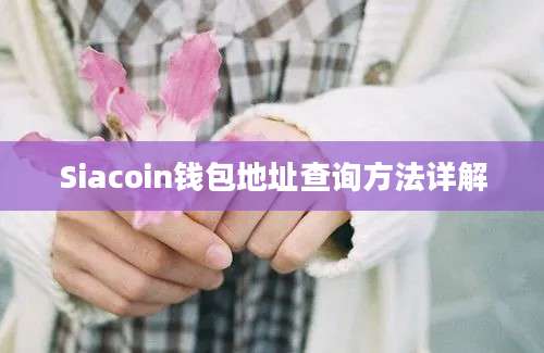 Siacoin钱包地址查询方法详解