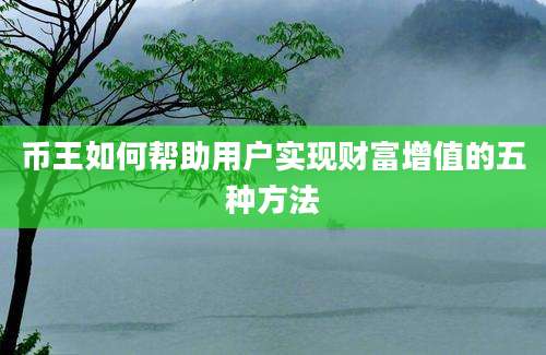 币王如何帮助用户实现财富增值的五种方法