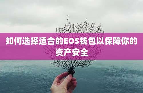 如何选择适合的EOS钱包以保障你的资产安全