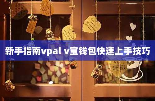 新手指南vpal v宝钱包快速上手技巧