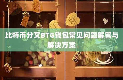 比特币分叉BTG钱包常见问题解答与解决方案