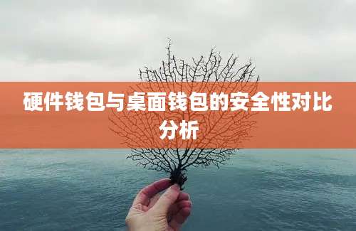 硬件钱包与桌面钱包的安全性对比分析