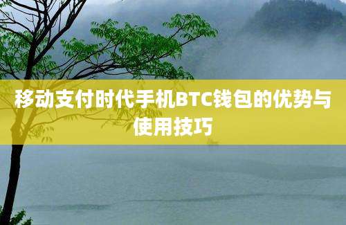 移动支付时代手机BTC钱包的优势与使用技巧