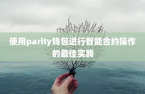 使用parity钱包进行智能合约操作的最佳实践