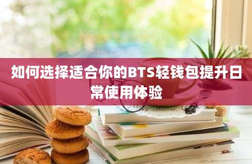 如何选择适合你的BTS轻钱包提升日常使用体验