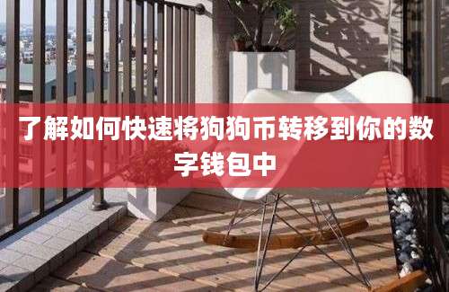 了解如何快速将狗狗币转移到你的数字钱包中