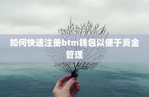 如何快速注册btm钱包以便于资金管理