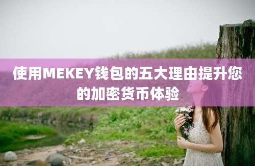 使用MEKEY钱包的五大理由提升您的加密货币体验