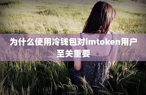 为什么使用冷钱包对imtoken用户至关重要