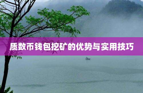 质数币钱包挖矿的优势与实用技巧