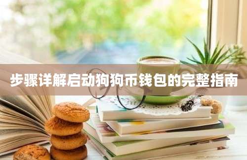 步骤详解启动狗狗币钱包的完整指南