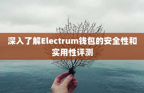 深入了解Electrum钱包的安全性和实用性评测