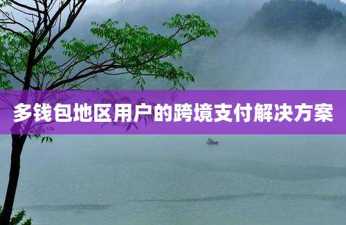 多钱包地区用户的跨境支付解决方案