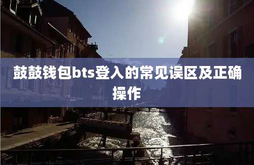 鼓鼓钱包bts登入的常见误区及正确操作