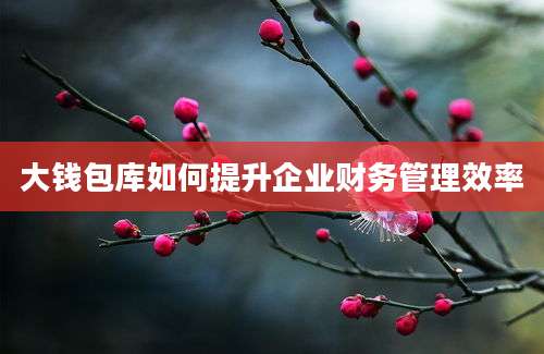 大钱包库如何提升企业财务管理效率