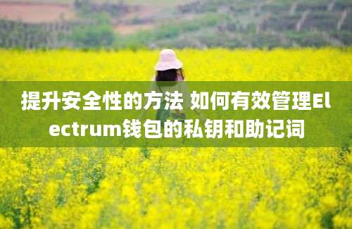 提升安全性的方法 如何有效管理Electrum钱包的私钥和助记词