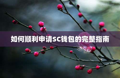 如何顺利申请SC钱包的完整指南