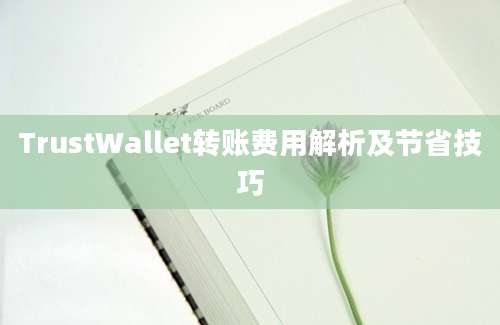 TrustWallet转账费用解析及节省技巧