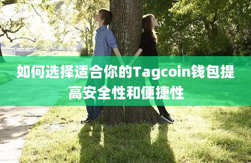 如何选择适合你的Tagcoin钱包提高安全性和便捷性