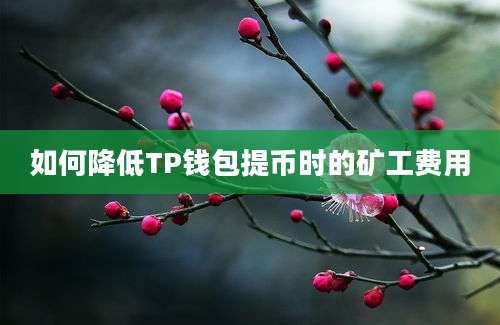 如何降低TP钱包提币时的矿工费用