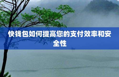 快钱包如何提高您的支付效率和安全性