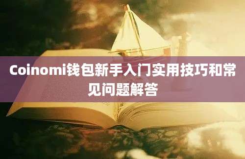 Coinomi钱包新手入门实用技巧和常见问题解答