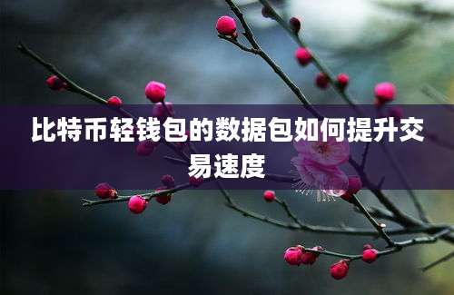 比特币轻钱包的数据包如何提升交易速度