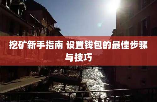 挖矿新手指南 设置钱包的最佳步骤与技巧