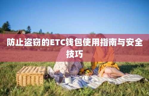 防止盗窃的ETC钱包使用指南与安全技巧