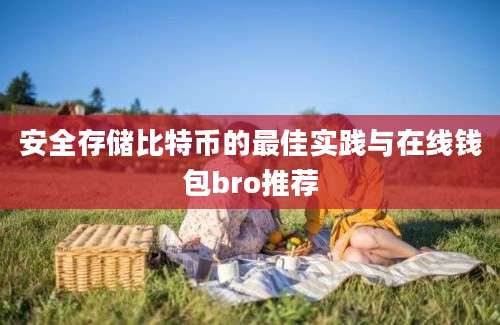 安全存储比特币的最佳实践与在线钱包bro推荐