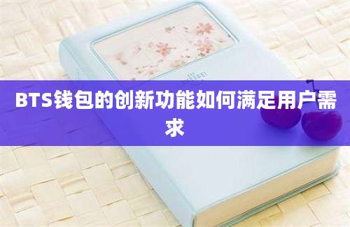 BTS钱包的创新功能如何满足用户需求