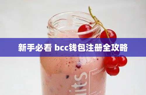 新手必看 bcc钱包注册全攻略