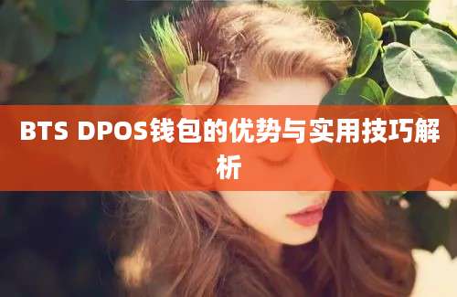 BTS DPOS钱包的优势与实用技巧解析