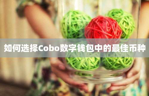 如何选择Cobo数字钱包中的最佳币种