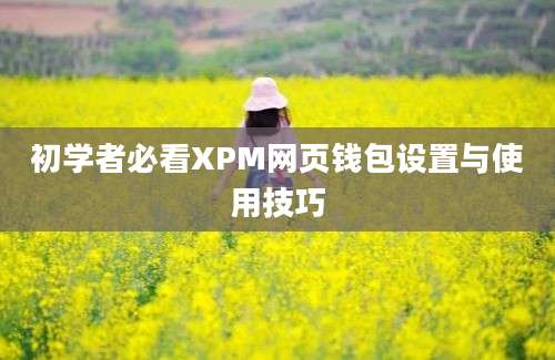 初学者必看XPM网页钱包设置与使用技巧