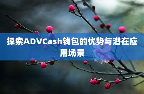 探索ADVCash钱包的优势与潜在应用场景