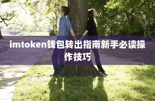 imtoken钱包转出指南新手必读操作技巧