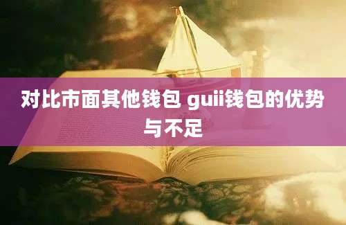 对比市面其他钱包 guii钱包的优势与不足