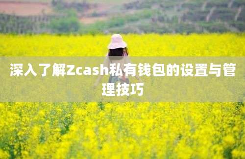 深入了解Zcash私有钱包的设置与管理技巧