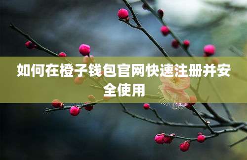 如何在橙子钱包官网快速注册并安全使用