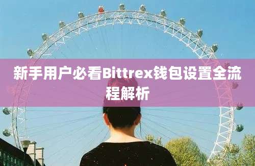 新手用户必看Bittrex钱包设置全流程解析