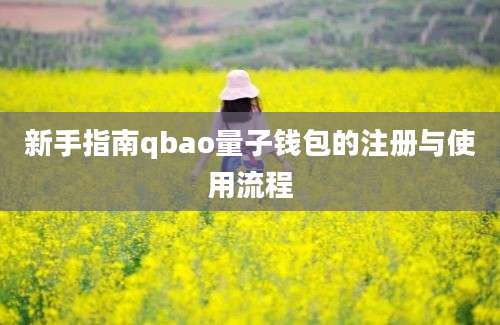 新手指南qbao量子钱包的注册与使用流程