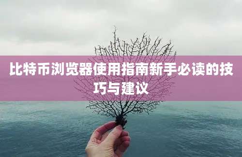 比特币浏览器使用指南新手必读的技巧与建议