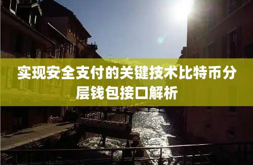 实现安全支付的关键技术比特币分层钱包接口解析