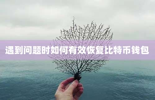 遇到问题时如何有效恢复比特币钱包