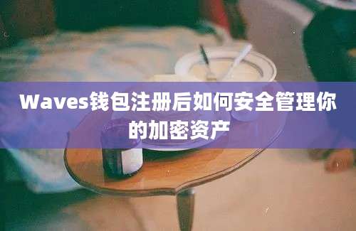 Waves钱包注册后如何安全管理你的加密资产